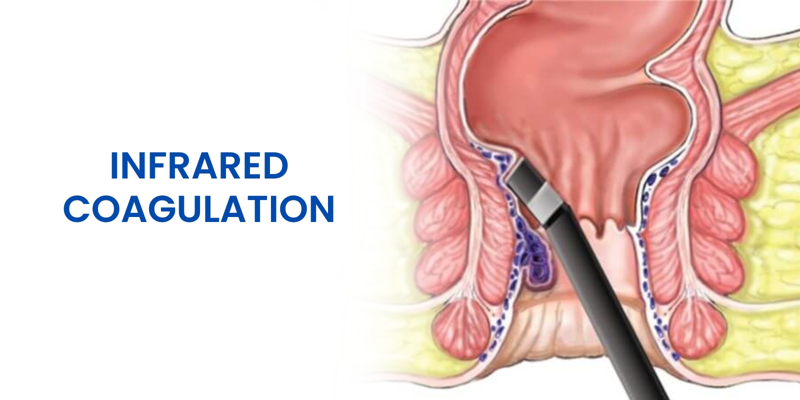 WhatsApp Image 2026 04 07 at 17 35 28