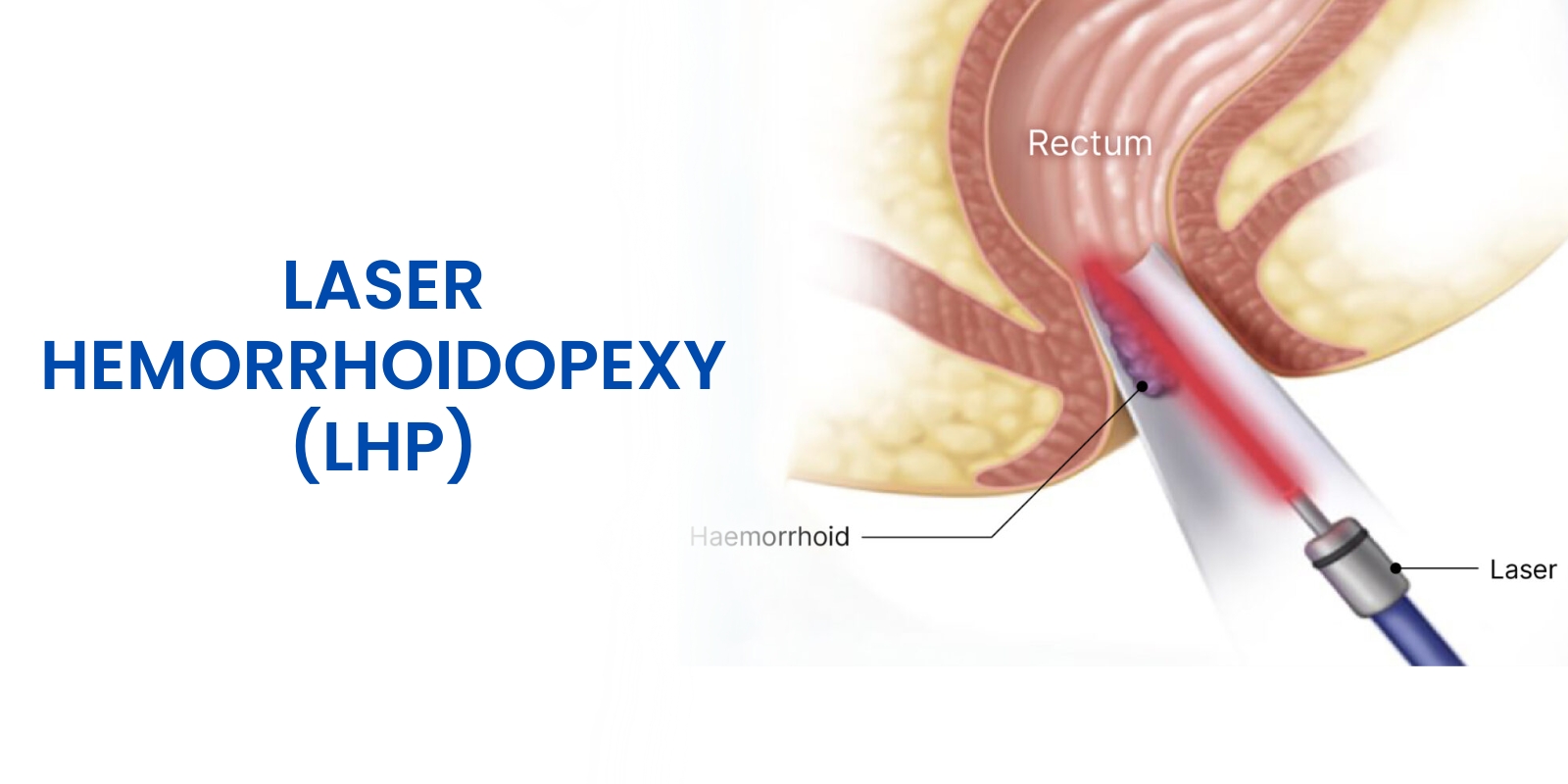 WhatsApp Image 2026 04 07 at 17 42 33