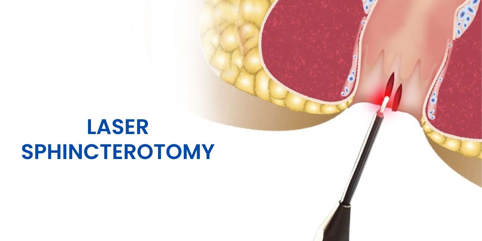 WhatsApp Image 2026 04 07 at 17 49 09