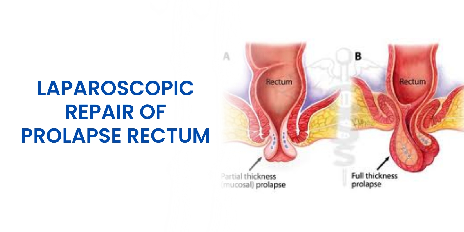 WhatsApp Image 2026 04 07 at 17 53 29 1